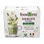 Matcha\u002Dlatte\u0020ginsengill\u00E4\u0020
